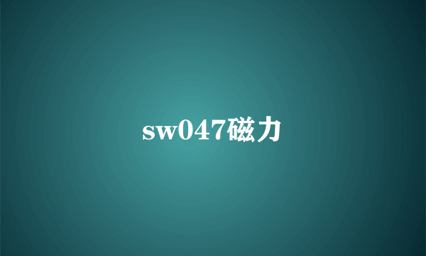 sw047磁力