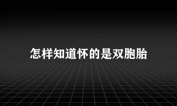 怎样知道怀的是双胞胎