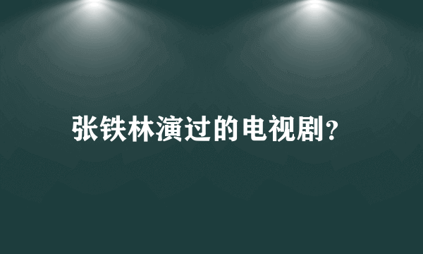 张铁林演过的电视剧？