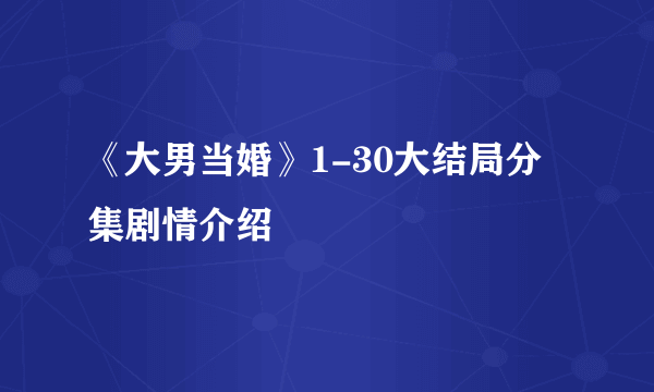 《大男当婚》1-30大结局分集剧情介绍