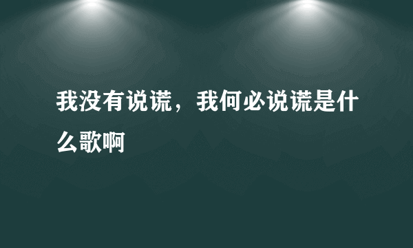 我没有说谎，我何必说谎是什么歌啊