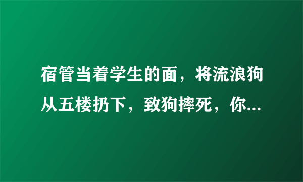 宿管当着学生的面，将流浪狗从五楼扔下，致狗摔死，你怎么看？