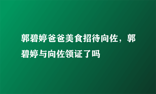 郭碧婷爸爸美食招待向佐，郭碧婷与向佐领证了吗