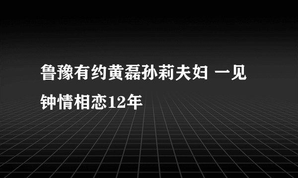 鲁豫有约黄磊孙莉夫妇 一见钟情相恋12年