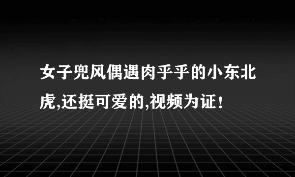 女子兜风偶遇肉乎乎的小东北虎,还挺可爱的,视频为证！