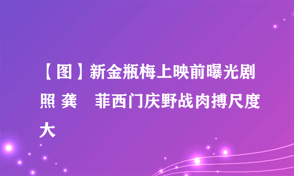 【图】新金瓶梅上映前曝光剧照 龚玥菲西门庆野战肉搏尺度大