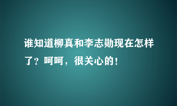 谁知道柳真和李志勋现在怎样了？呵呵，很关心的！