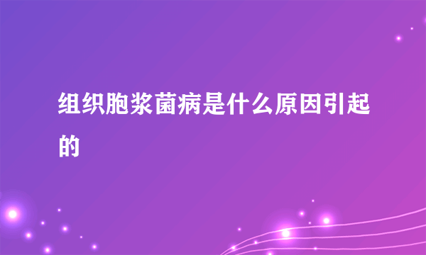 组织胞浆菌病是什么原因引起的