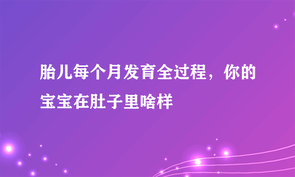 胎儿每个月发育全过程，你的宝宝在肚子里啥样