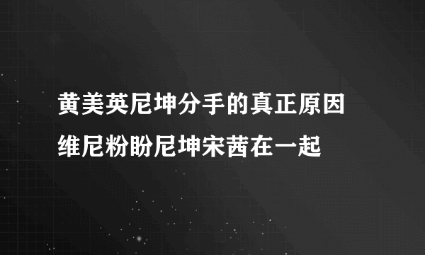 黄美英尼坤分手的真正原因 维尼粉盼尼坤宋茜在一起