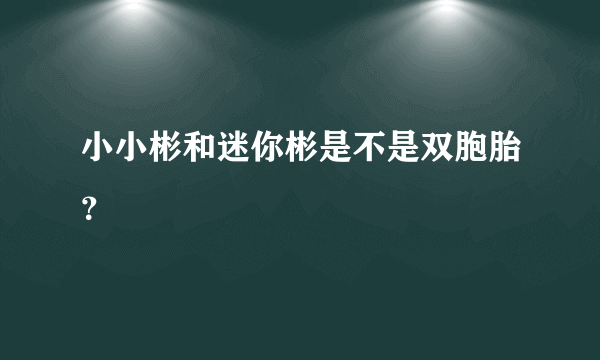 小小彬和迷你彬是不是双胞胎？