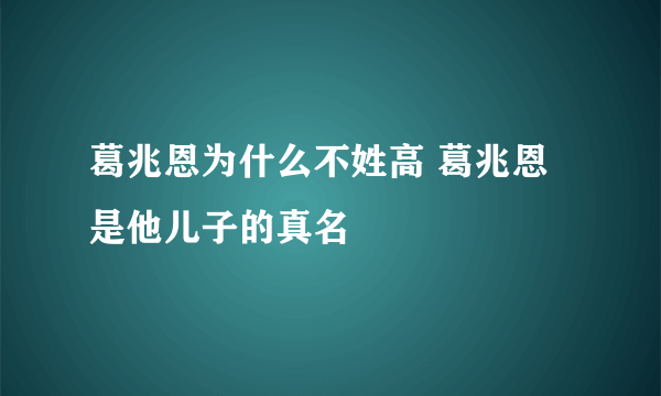 葛兆恩为什么不姓高 葛兆恩是他儿子的真名