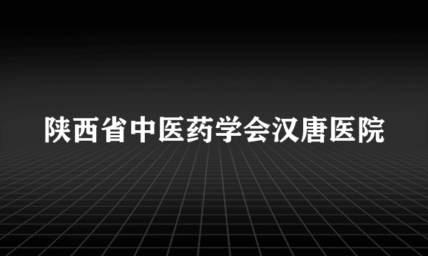 陕西省中医药学会汉唐医院