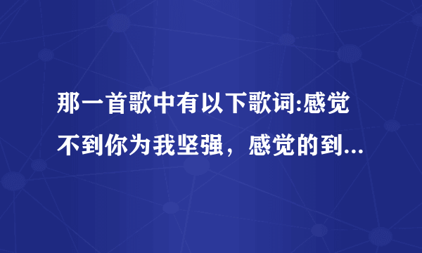 那一首歌中有以下歌词:感觉不到你为我坚强，感觉的到你对我撒谎？