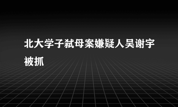 北大学子弑母案嫌疑人吴谢宇被抓