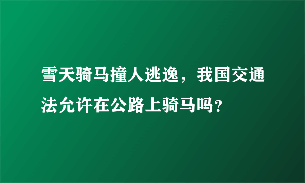 雪天骑马撞人逃逸，我国交通法允许在公路上骑马吗？