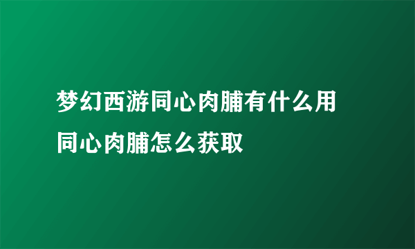 梦幻西游同心肉脯有什么用 同心肉脯怎么获取