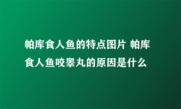 帕库食人鱼的特点图片 帕库食人鱼咬睾丸的原因是什么