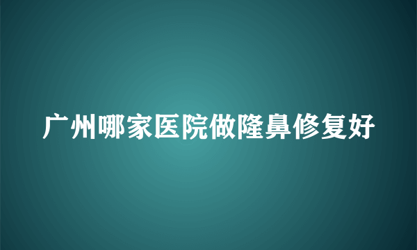 广州哪家医院做隆鼻修复好