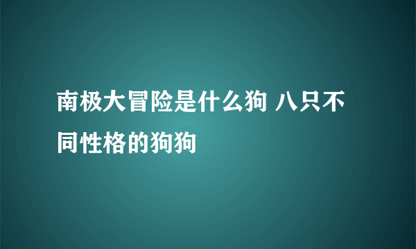 南极大冒险是什么狗 八只不同性格的狗狗