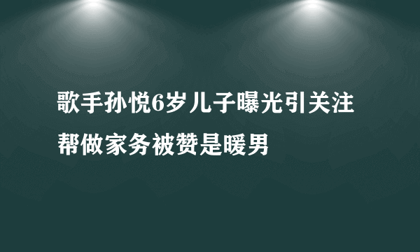 歌手孙悦6岁儿子曝光引关注帮做家务被赞是暖男