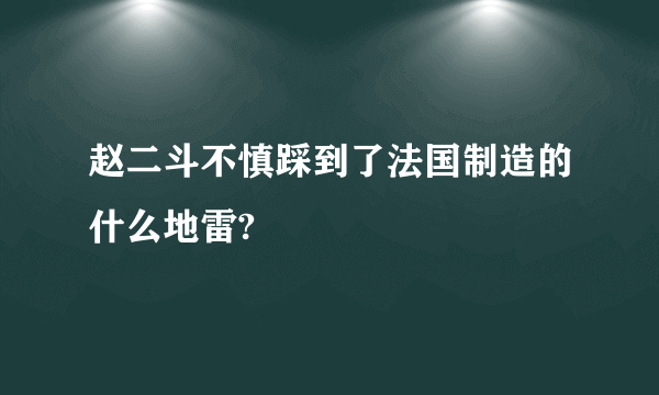 赵二斗不慎踩到了法国制造的什么地雷?