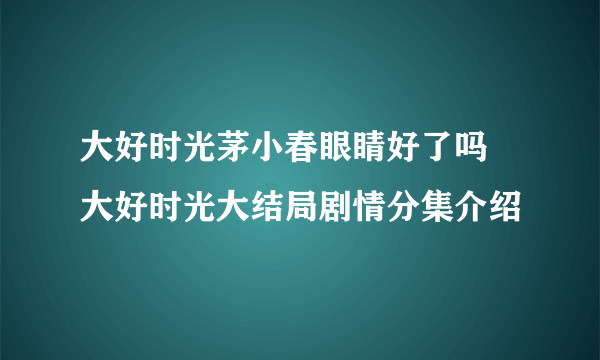 大好时光茅小春眼睛好了吗 大好时光大结局剧情分集介绍