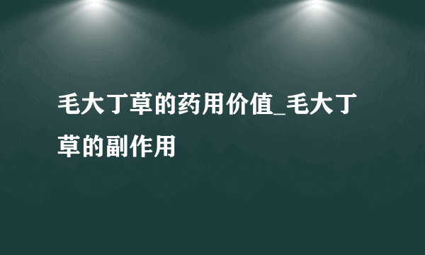 毛大丁草的药用价值_毛大丁草的副作用