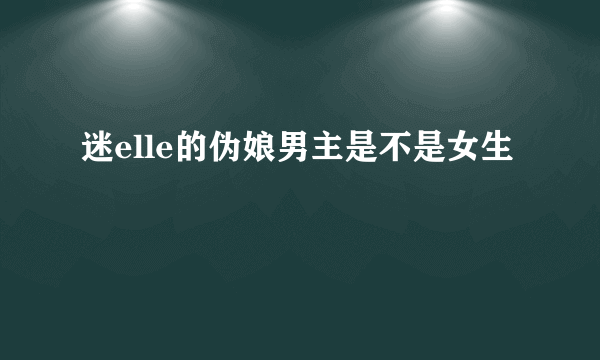 迷elle的伪娘男主是不是女生