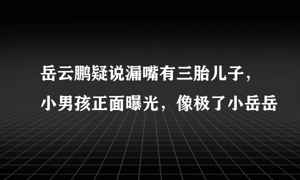 岳云鹏疑说漏嘴有三胎儿子，小男孩正面曝光，像极了小岳岳