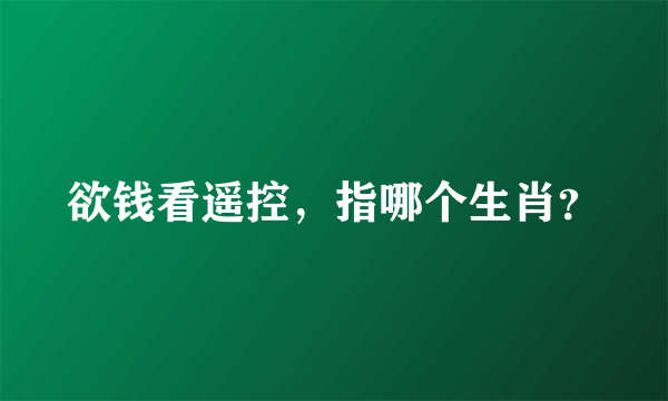 欲钱看遥控，指哪个生肖？