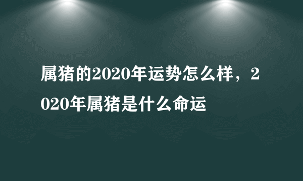 属猪的2020年运势怎么样，2020年属猪是什么命运