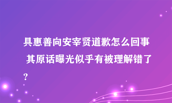 具惠善向安宰贤道歉怎么回事 其原话曝光似乎有被理解错了？