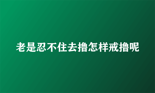 老是忍不住去撸怎样戒撸呢