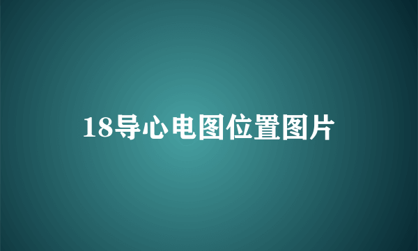 18导心电图位置图片