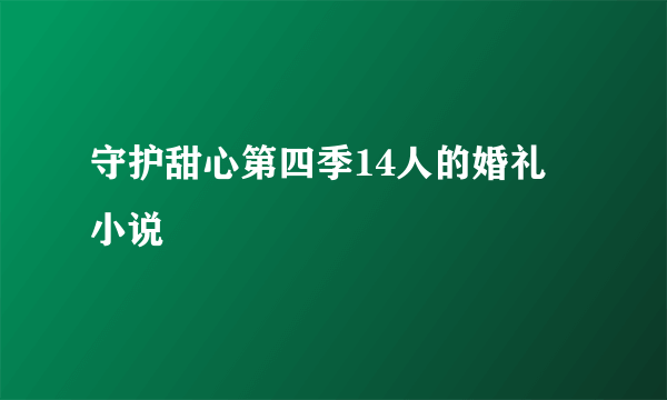 守护甜心第四季14人的婚礼 小说