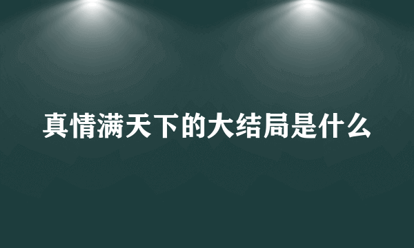 真情满天下的大结局是什么