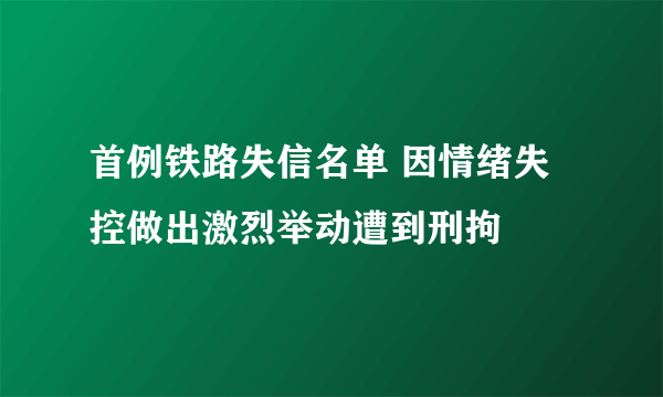 首例铁路失信名单 因情绪失控做出激烈举动遭到刑拘