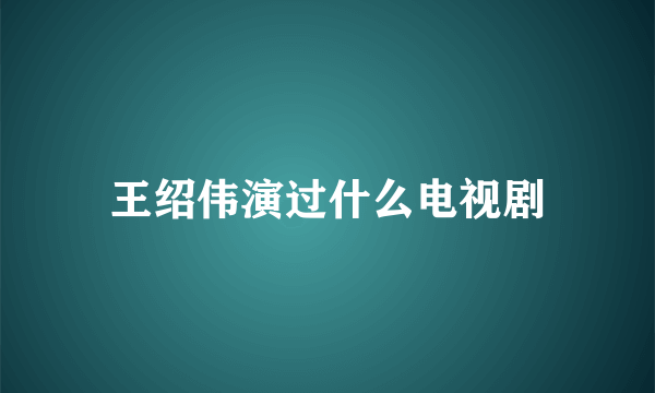 王绍伟演过什么电视剧