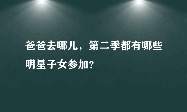 爸爸去哪儿，第二季都有哪些明星子女参加？