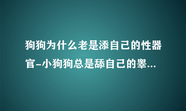 狗狗为什么老是添自己的性器官-小狗狗总是舔自己的睾丸，这是什么原因，为什么？