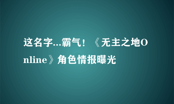 这名字...霸气！《无主之地Online》角色情报曝光