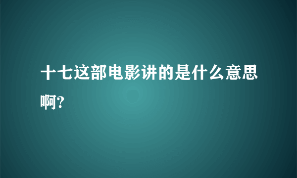 十七这部电影讲的是什么意思啊?