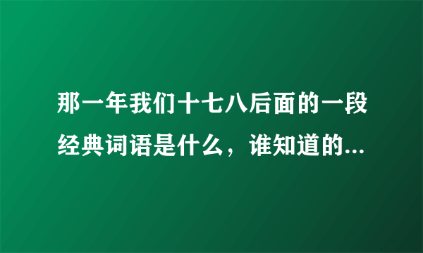 那一年我们十七八后面的一段经典词语是什么，谁知道的，告诉我，谢谢了！