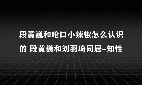 段黄巍和呛口小辣椒怎么认识的 段黄巍和刘羽琦同居-知性