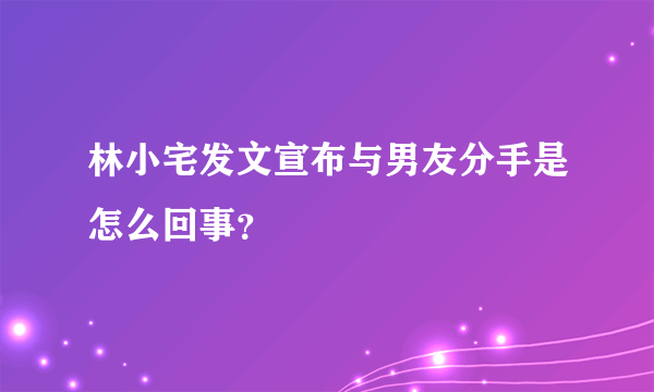 林小宅发文宣布与男友分手是怎么回事？