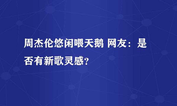 周杰伦悠闲喂天鹅 网友：是否有新歌灵感？