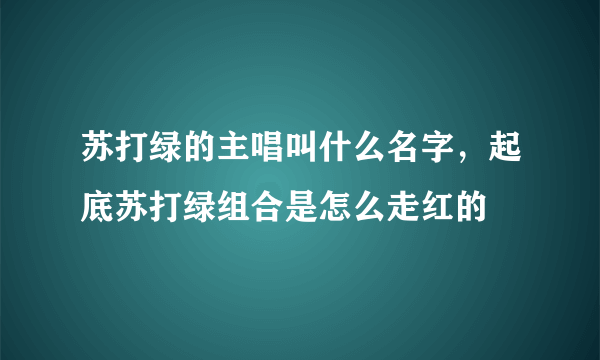 苏打绿的主唱叫什么名字，起底苏打绿组合是怎么走红的