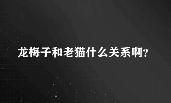 龙梅子和老猫什么关系啊？