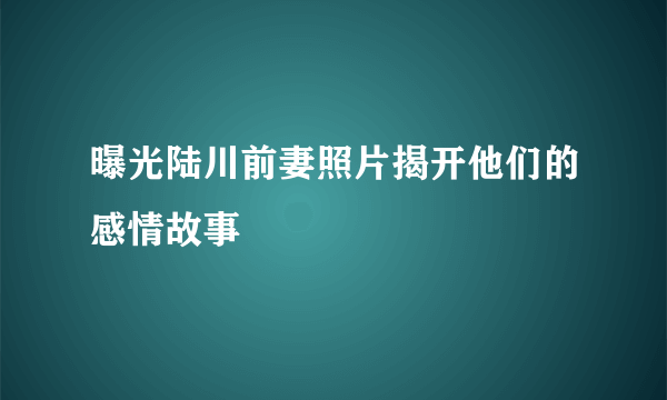 曝光陆川前妻照片揭开他们的感情故事